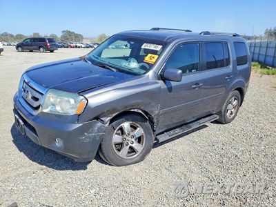 2011 HONDA PILOT EXL 5FNYF4H58BB034006 - główne zdjęcie licytacji z USA - miniatura