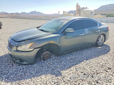 2011 NISSAN MAXIMA 3.5 S 1N4AA5AP4BC853227 - główne zdjęcie licytacji z USA - miniatura