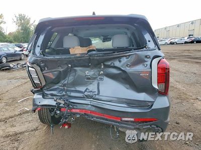 Zdjęcie 6 z 13 samochodu: 2025 HYUNDAI PALISADE SEL VIN:KM8R2DGE5SU955393 - miniatura