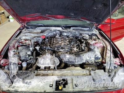 Zdjęcie 11 z 12 samochodu: 2020 FORD MUSTANG GT VIN:1FA6P8CF0L5188892 - miniatura