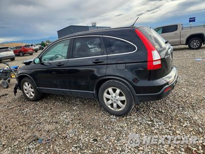 Drugie zdjęcie samochodu z przodu: 2009 HONDA CR-V EX VIN:JHLRE48559C004494 - miniatura