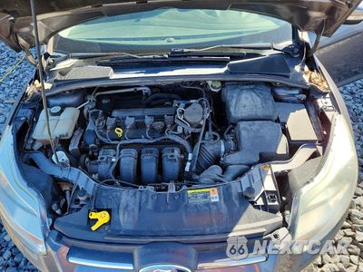 Zdjęcie 11 z 12 samochodu: 2013 FORD FOCUS SE VIN:1FADP3F29DL209478 - miniatura