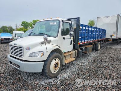2016 FREIGHTLINER BUSINESS CLASS M2 FLATBED TRUCK 1FVACXDT7GHHD7283 - główne zdjęcie licytacji z USA - miniatura