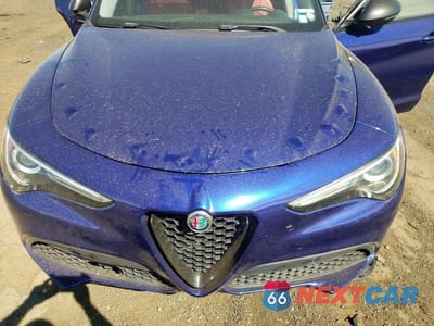 Zdjęcie 11 z 12 samochodu: 2021 ALFA ROMEO STELVIO TI VIN:ZASPAKBN5M7D20936 - miniatura