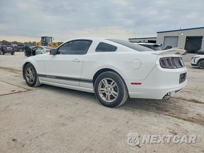 Drugie zdjęcie samochodu z przodu: 2014 FORD MUSTANG VIN:1ZVBP8AM6E5204605 - miniatura