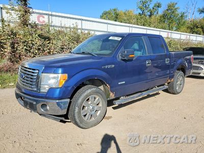 2011 FORD F150 SUPERCREW 1FTFW1ET7BFC34508 - główne zdjęcie licytacji z USA - miniatura