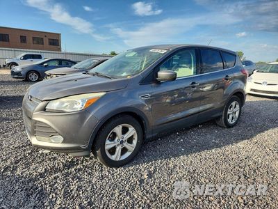 2014 FORD ESCAPE SE 1FMCU0GX4EUD07431 - główne zdjęcie licytacji z USA - miniatura