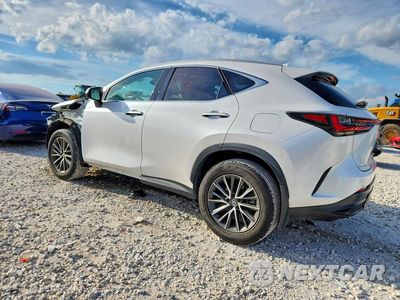 Drugie zdjęcie samochodu z przodu: 2023 LEXUS NX 250 VIN:2T2GDCAZ6PC003708 - miniatura