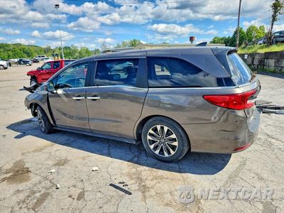 Drugie zdjęcie samochodu z przodu: 2021 HONDA ODYSSEY EXL VIN:5FNRL6H78MB038442 - miniatura