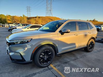 2024 HONDA CR-V EX 2HKRS4H43RH431836 - główne zdjęcie licytacji z USA - miniatura
