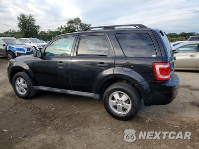 Drugie zdjęcie samochodu z przodu: 2011 FORD ESCAPE XLT VIN:1FMCU0D74BKC59652 - miniatura