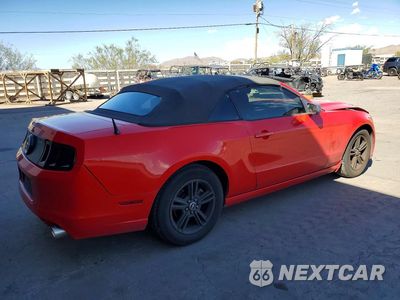 Trzecie zdjęcie samochodu z tyłu: 2013 FORD MUSTANG VIN:1ZVBP8EM4D5209875 - miniatura