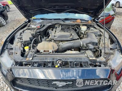 Zdjęcie 11 z 12 samochodu: 2017 FORD MUSTANG VIN:1FA6P8TH4H5246298 - miniatura