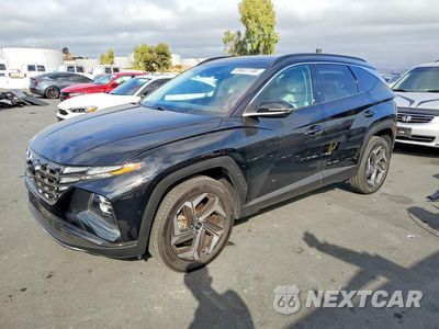 2023 HYUNDAI TUCSON LIMITED 5NMJECAE2PH226312 - główne zdjęcie licytacji z USA - miniatura