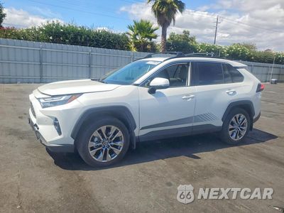 2025 TOYOTA RAV4 XLE PREMIUM JTMA1RFV1SJ044868 - główne zdjęcie licytacji z USA - miniatura
