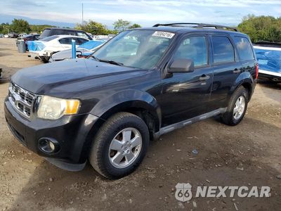 2011 FORD ESCAPE XLT 1FMCU0D74BKC59652 - główne zdjęcie licytacji z USA - miniatura