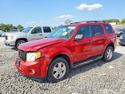 2011 FORD ESCAPE XLT 1FMCU0D72BKA19449 - główne zdjęcie licytacji z USA - miniatura