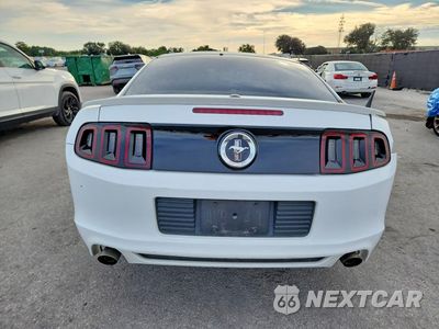 Zdjęcie 6 z 12 samochodu: 2014 FORD MUSTANG VIN:1ZVBP8AMXE5314119 - miniatura