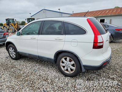 Drugie zdjęcie samochodu z przodu: 2007 HONDA CR-V EXL VIN:JHLRE48757C111978 - miniatura