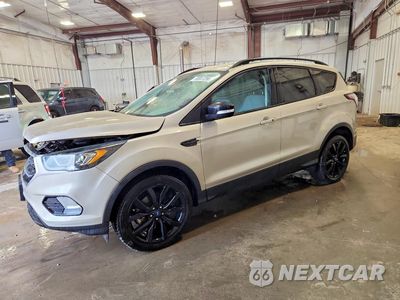 2017 FORD ESCAPE TITANIUM 1FMCU9J95HUD53837 - główne zdjęcie licytacji z USA - miniatura