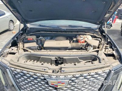 Zdjęcie 12 z 13 samochodu: 2025 CADILLAC ESCALADE PREMIUM LUXURY VIN:1GYS9BRL7SR221143 - miniatura