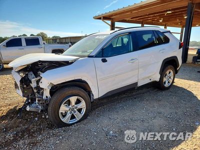 2019 TOYOTA RAV4 XLE 2T3W1RFV5KC008982 - główne zdjęcie licytacji z USA - miniatura