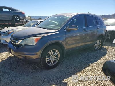 2010 HONDA CR-V EXL 5J6RE3H75AL043027 - główne zdjęcie licytacji z USA - miniatura