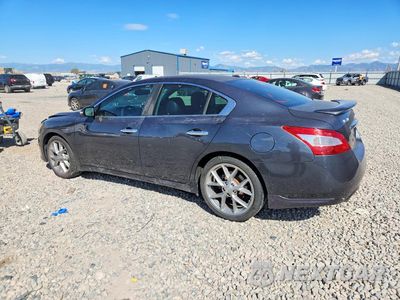 Drugie zdjęcie samochodu z przodu: 2011 NISSAN MAXIMA 3.5 S VIN:1N4AA5AP5BC816526 - miniatura