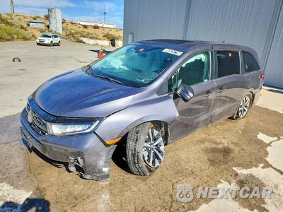 2025 HONDA ODYSSEY EXL 5FNRL6H61SB059461 - główne zdjęcie licytacji z USA - miniatura