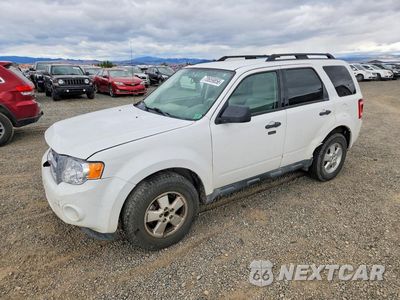 2011 FORD ESCAPE XLT 1FMCU9D70BKB91709 - główne zdjęcie licytacji z USA - miniatura