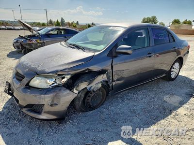 2010 TOYOTA COROLLA LE JTDBU4EE4AJ076227 - główne zdjęcie licytacji z USA - miniatura