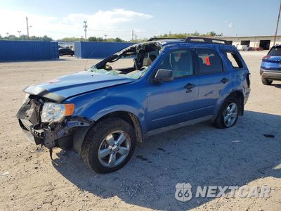 2009 FORD ESCAPE XLT 1FMCU93G09KB88403 - główne zdjęcie licytacji z USA - miniatura