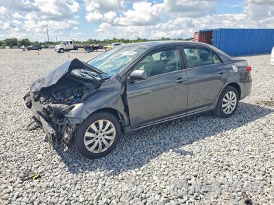 2013 TOYOTA COROLLA LE 2T1BU4EEXDC125494 - główne zdjęcie licytacji z USA - miniatura