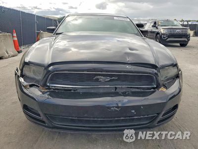 Piąte zdjęcie samochodu w środku: 2014 FORD MUSTANG VIN:1ZVBP8AM3E5230692 - miniatura