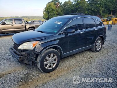 2007 HONDA CR-V EXL JHLRE48727C048273 - główne zdjęcie licytacji z USA - miniatura