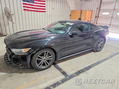 2017 FORD MUSTANG 1FA6P8TH7H5238194 - główne zdjęcie licytacji z USA - miniatura