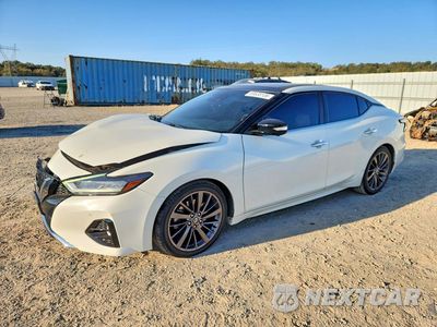 2019 NISSAN MAXIMA PLATINUM 1N4AA6AV9KC381417 - główne zdjęcie licytacji z USA - miniatura