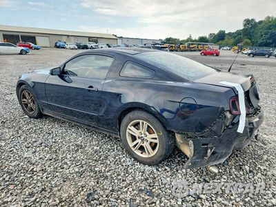 Drugie zdjęcie samochodu z przodu: 2014 FORD MUSTANG VIN:1ZVBP8AM0E5253377 - miniatura
