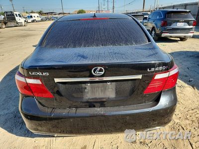 Zdjęcie 6 z 12 samochodu: 2008 LEXUS LS 460 VIN:JTHBL46F485054496 - miniatura