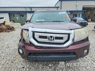 Piąte zdjęcie samochodu w środku: 2011 HONDA PILOT EXL VIN:5FNYF4H51BB028340 - miniatura