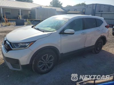 2020 HONDA CR-V EX 5J6RW1H56LA013467 - główne zdjęcie licytacji z USA - miniatura