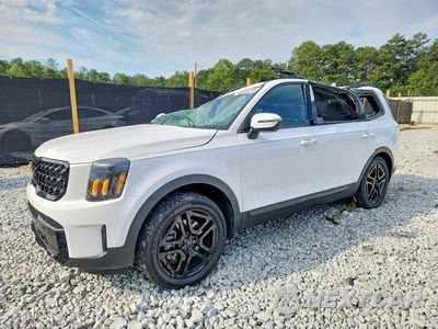 2025 KIA TELLURIDE EX X-LINE 5XYP3DGC2SG643329 - główne zdjęcie licytacji z USA - miniatura