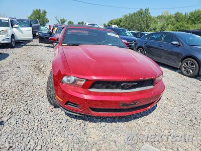 Piąte zdjęcie samochodu w środku: 2010 FORD MUSTANG VIN:1ZVBP8EN6A5114089 - miniatura