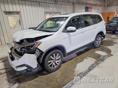 2020 HONDA PILOT EXL 5FNYF6H58LB031586 - główne zdjęcie licytacji z USA - miniatura