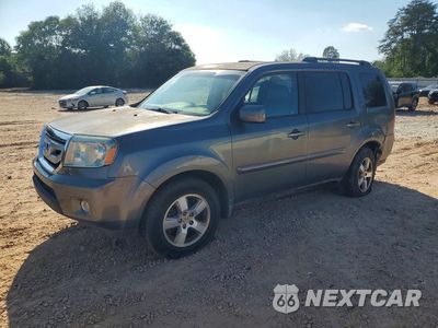 2011 HONDA PILOT EXLN 5FNYF3H75BB001315 - główne zdjęcie licytacji z USA - miniatura