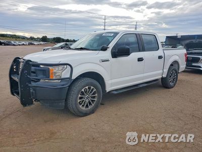 2019 FORD F150 POLICE RESPONDER 1FTEW1P49KKD50849 - główne zdjęcie licytacji z USA - miniatura
