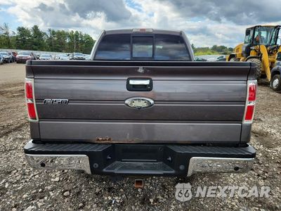Zdjęcie 6 z 12 samochodu: 2013 FORD F150 SUPERCREW VIN:1FTFW1ET6DKE15142 - miniatura