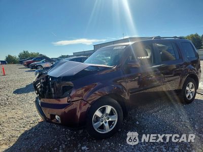 2011 HONDA PILOT EXL 5FNYF4H51BB071611 - główne zdjęcie licytacji z USA - miniatura