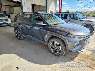 Czwarte zdjęcie samochodu z boku: 2024 HYUNDAI TUCSON LIMITED VIN:5NMJECDEXRH305564 - miniatura