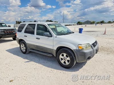 Czwarte zdjęcie samochodu z boku: 2006 FORD ESCAPE XLT VIN:1FMYU03136KB99436 - miniatura